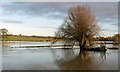 SP3868 : Christmas floods at Eathorpe by Greg Fitchett