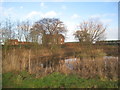 SE6538 : Pond at Scarrow Green by Jonathan Thacker