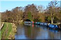 River Wey Navigation from Broadford Bridge