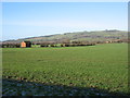 Farmland near Dumbleton