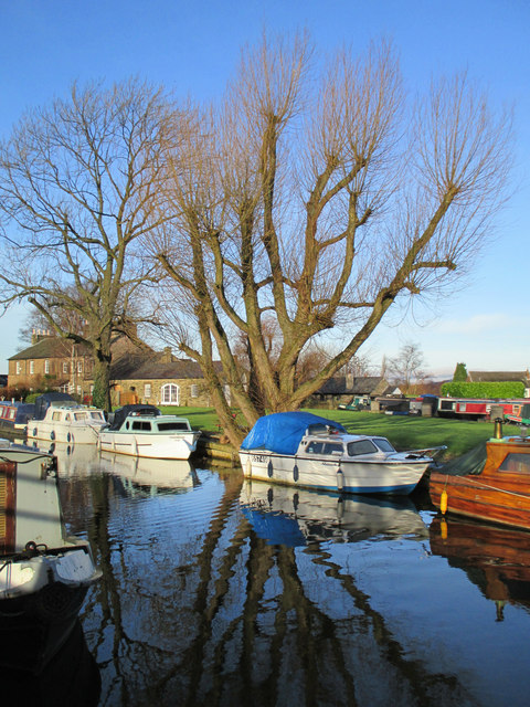 Boats and bare trees, Marple