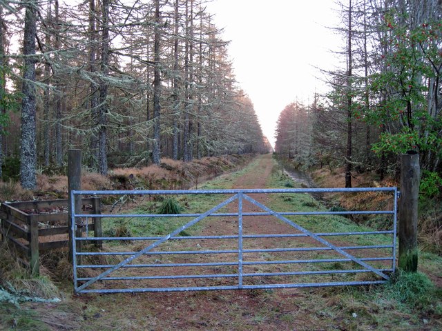 Gateway into Millbuie Forest