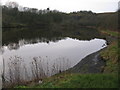 Abandoned Quarry near Barraston Farm