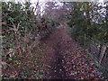 Old pathway on the Deri