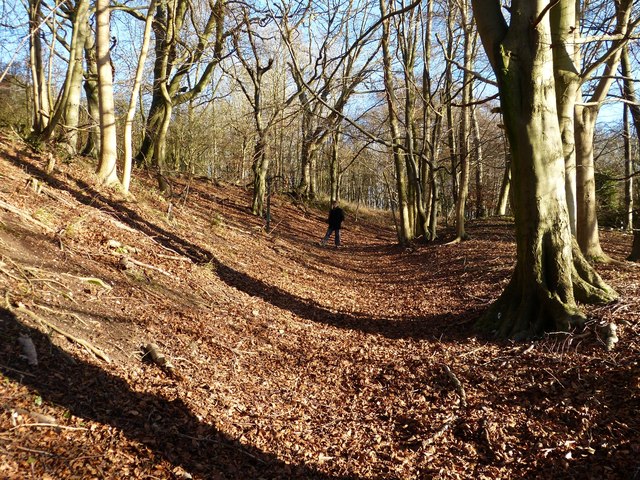 Sunken path in Turlhanger's Wood
