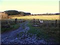 An open field, Clunahill Townland