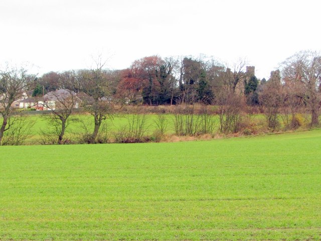 Arable fields south of Walbottle Hall
