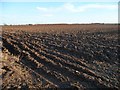 Ploughed field, south-east of The Pines