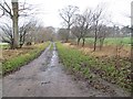 Farm road, Newton