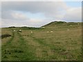 Upland grazing, New Greenhill