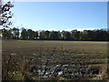 Farmland near Netherton of Mounie