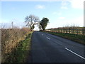 Tarn Lane towards Scarcroft