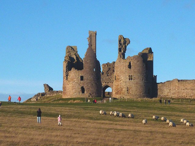 People and sheep at Dunstanburgh Castle