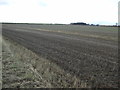 Farmland off Ribston Road