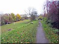 Trackbed of North Walbottle Waggonway at Blucher