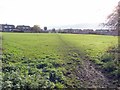 Playing Fields, Chapel Park