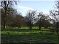 Grazing, Scarcroft Grange