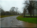 SU7033 : Looking south on the A32 from the entrance to Lodge Farm by Shazz