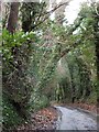 Rockley Road near Maisey Farm