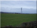 Farmland and power lines