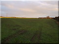 Farmland of Rudgate Roman Road