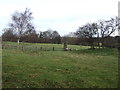 Grazing near the River Wharfe