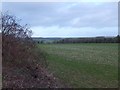 SY6691 : Site of a long barrow near Highfield Plantation by David Smith