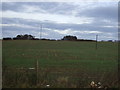 Farmland, Crosper Farm