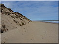 Edge of the dunes near Hemsby