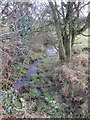 Stream flowing downhill below Halhill Farm