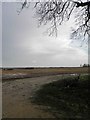 Lincolnshire farmland near Scotton