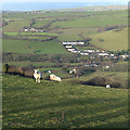 The Rheidol valley by Capel Bangor