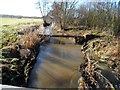 The River Flit, looking east