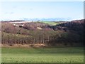 The valley of Eccup Beck