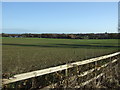 Farmland near Jubilee Mills