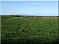 SE3863 : Farmland off the A6055 by JThomas