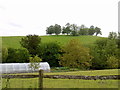 View from lane near Cosford Farm