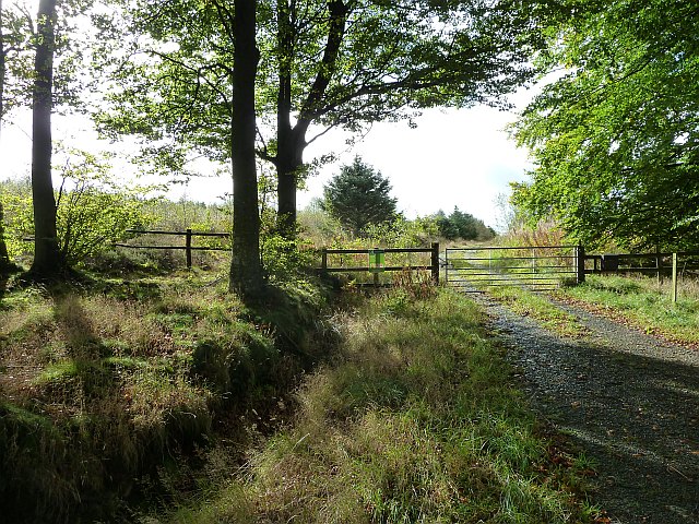 Entrance to Bettws Hill Wood