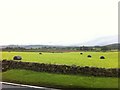 Field in Closeburn