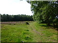 Heathland on path to Benty Farm