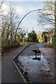 Crossing the Puddle, Trent Park, Cockfosters, Hertfordshire