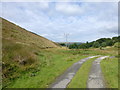 The path to Brearley leaves the track to Whittaker