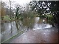 Christchurch: flooded riverside path