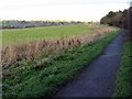 Footpath north of North Walbottle Road