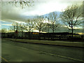 Makro store, Anchor and Hope Lane, Charlton