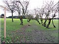 Footpath crossing Westerhope Golf Course