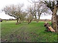 Footpath crossing Westerhope Golf Course