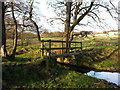 Footbridge over Stanley Burn near Durham Riding