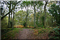 Bridleway to Crabtree Lane