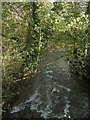 SS9386 : A glimpse of the River Ogmore just north of Blackmill by eswales